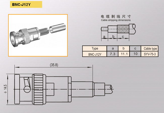 BNC-J12Y